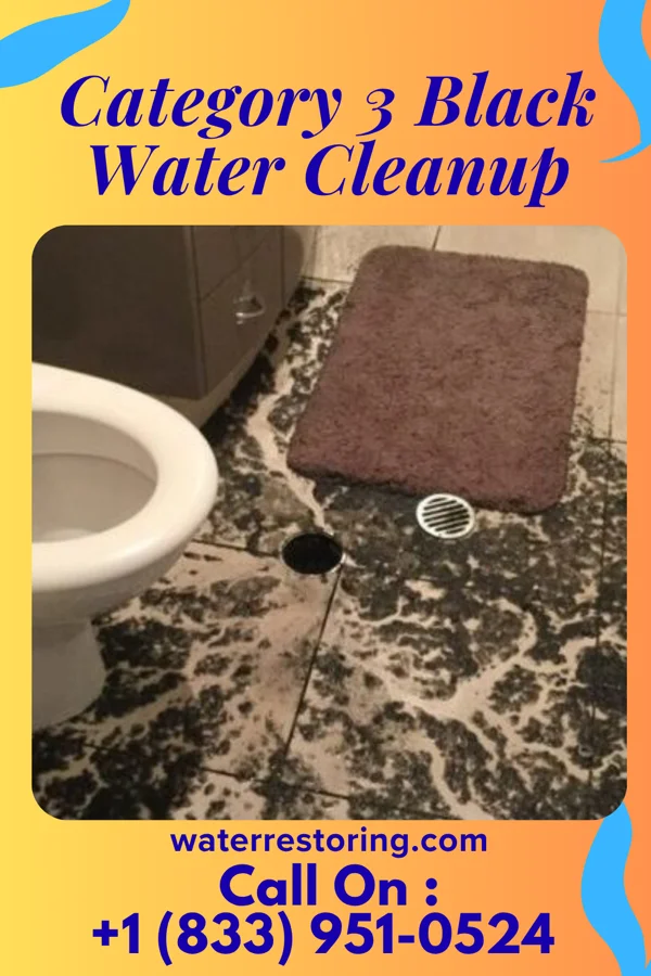 Category 3 Black Water Cleanup in Blue Ridge Shores, VA