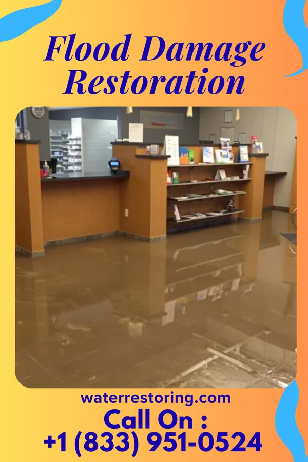 Flood Damage Restoration in Blue Ridge Shores, VA