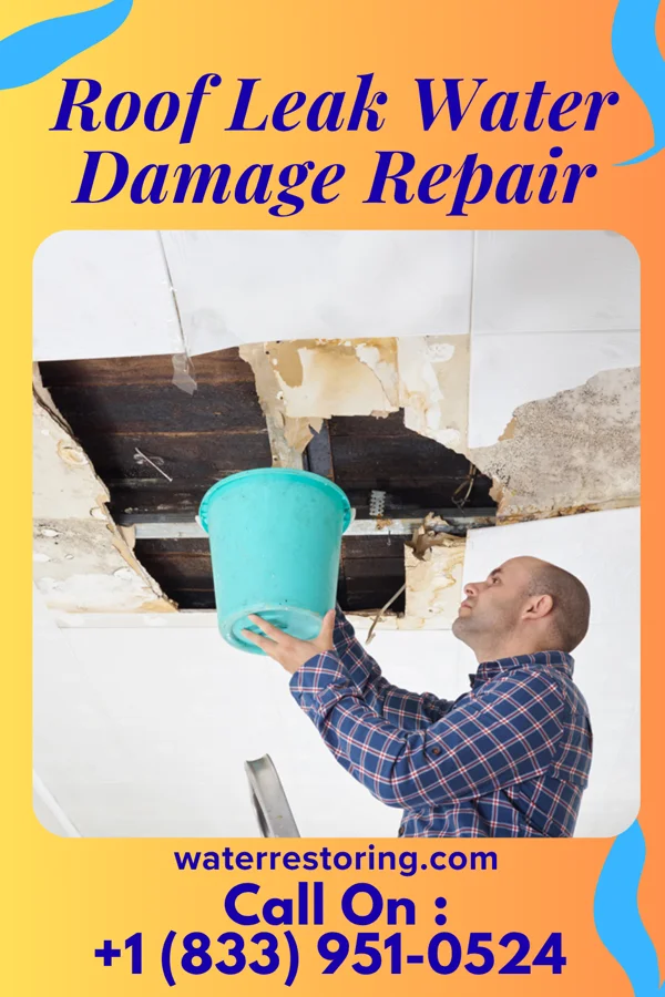 Roof Leak Water Damage Repair in Blue Ridge Shores, VA