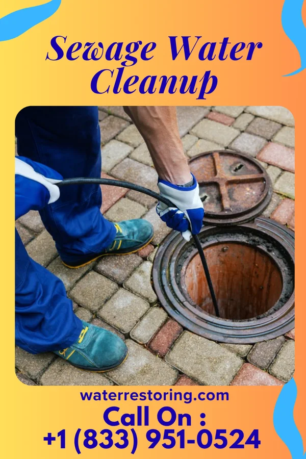 Sewage Water Cleanup in Blue Ridge Shores, VA